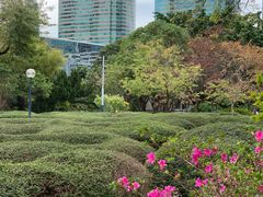 -九龙公园