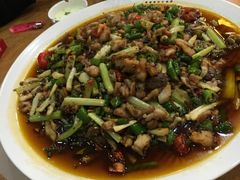 -功夫兔