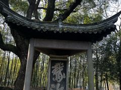 -兰亭风景区
