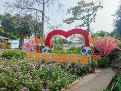 -广东花都香草世界旅游度假区