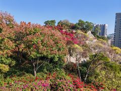 -仙岳公园