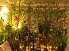 -施奈儿.洗头頭療.按摩SPA.采耳(上梅林店)