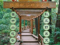 -大岭沟猕猴桃谷风景区