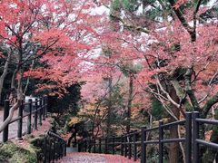 -百果园(奕淳公寓店)