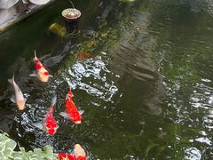 -鲤院·新中式美学·庭院餐厅(夫子庙店)
