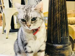 -小时光咖啡馆(开森度假森林店)