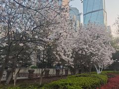 -mango tree芒果树泰国餐厅(青岛万象城店)