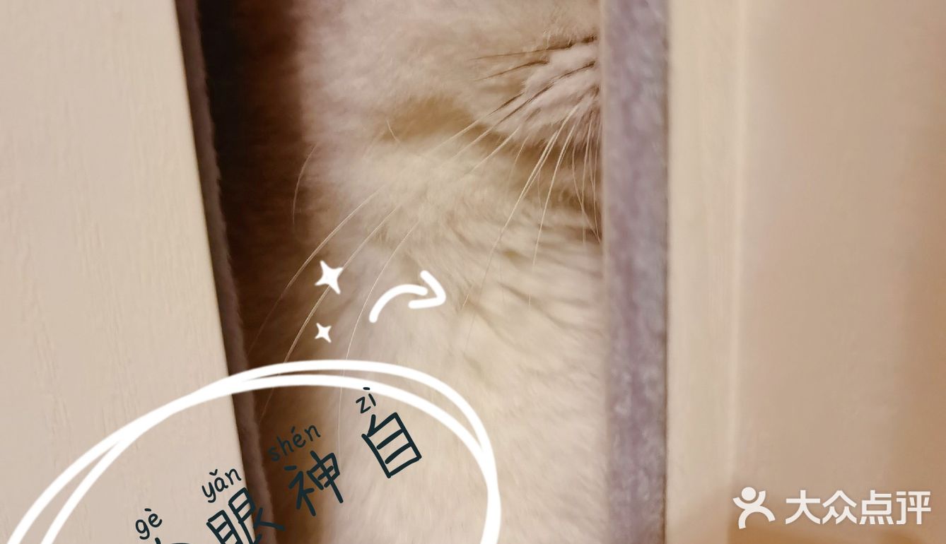 泡泡糖的日常——禁闭篇
