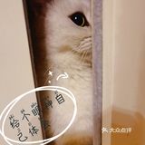 泡泡糖的日常——禁闭篇