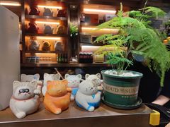 -猫抓烤肉(观音桥九街店)