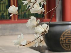 -颐和园