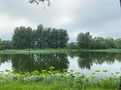 -东郊湿地公园