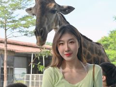 -灵玲国际马戏城