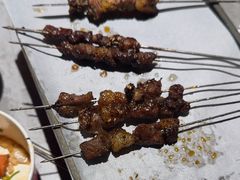 -鼎原力量东北吊炉烧烤(临河街店)