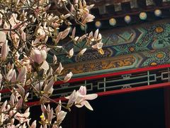 -潭柘寺景区