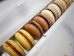 -BLACKSWAN黑天鹅(环球店)