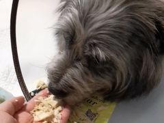 -爱侣宠医·鹦鹉专科·小型哺乳类·异宠专科(灵石路店)