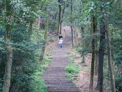-西湖风景区十里琅珰-五云山