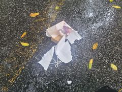 -喜茶(广州滨江宏岸店)