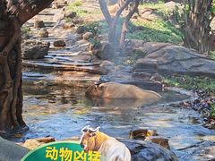 -海南热带野生动植物园