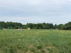 -北极村旅游风景区