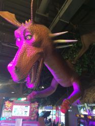 -卡通尼·Safari非洲探索乐园·生日会(金桥国际商业广场店)