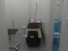 -1013 PET SHOP精品宠物商店(丁香店)
