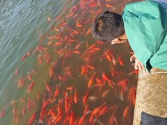 -朝阳公园游乐园