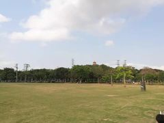 -紫马岭公园