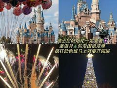-上海迪士尼度假区