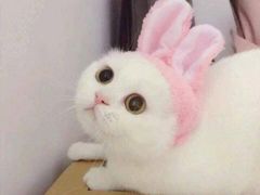 -东南大学附属中大医院(本部)