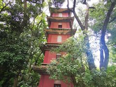 -阿育王寺
