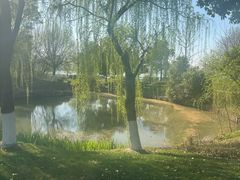 -东湖落雁景区