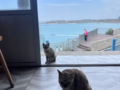 -北港方记海鲜楼·海景餐厅