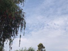 -厦门悦华酒店