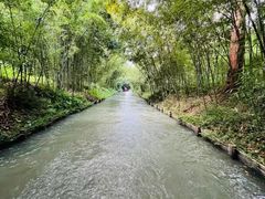 -同里国家湿地公园