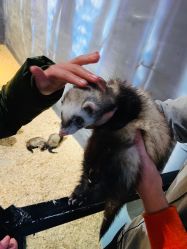 -酷嗒动物文化乐园(cutezoo西溪乐天城店)