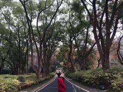 -东湖磨山景区