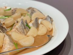 鲳鱼烧年糕-新荣记(南京西路店)