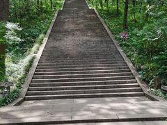 -武侯墓风景区