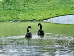 -WE ME 伴山营地·城市露营·团建策划