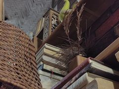-斯多格书乡(北京大学畅春园店)