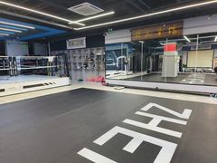 -臻元搏击格斗泰拳拳馆(港隆店)