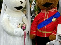 android_upload_pic-济州岛泰迪熊博物馆