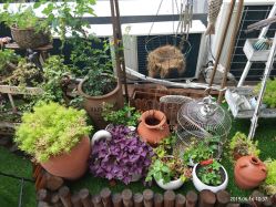 大堂-花间禅净·瑜伽