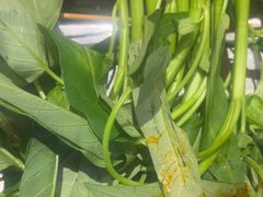 -钢管厂五区小郡肝串串香(蜀都万达店)