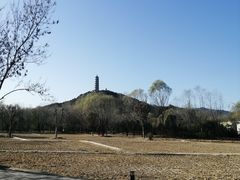 -北坞公园