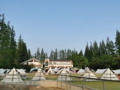 -前小桔亲子创意农场·草莓采摘·露营烧烤