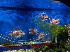 -太平洋海底世界