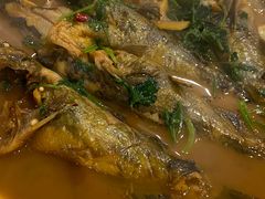 红烧昂刺鱼-杨辉饭店